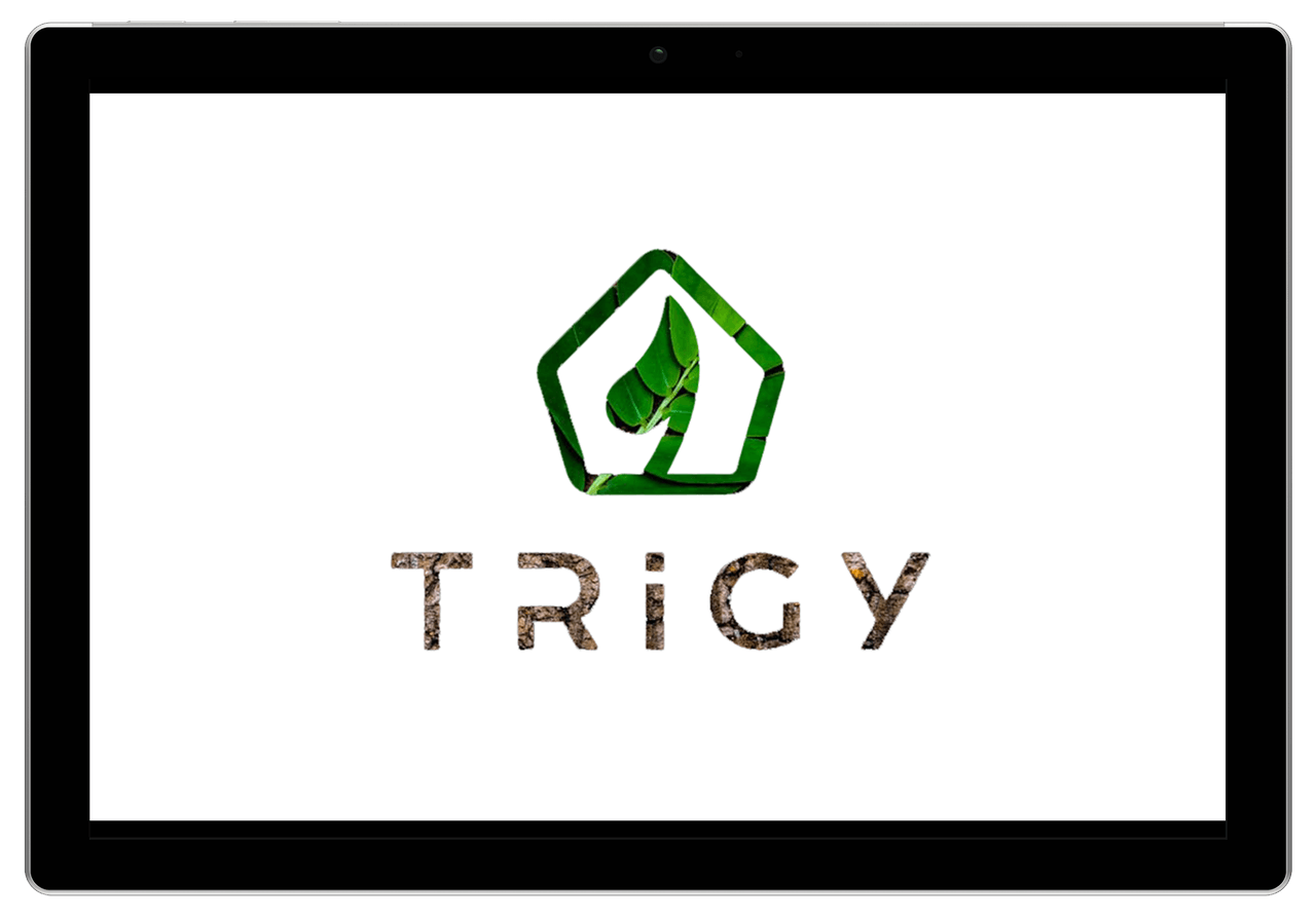 Google Workspace at TRiGY